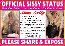 Sissy Cally's ID card for public sharing and exposure