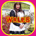 Sissy sluts in Wales