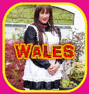 Exposed Welsh sissies