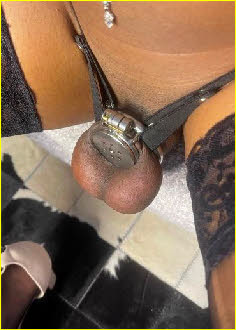 Gay sissy Amber Leigh's tiny cock flattened to nothing by a chastity device Gay sissy Amber Leigh's tiny cock flattened to nothing by a chastity device